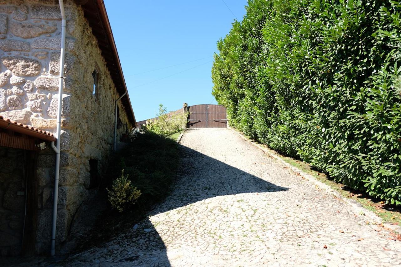 Casa Das Andorinhas Celorico De Basto Kültér fotó