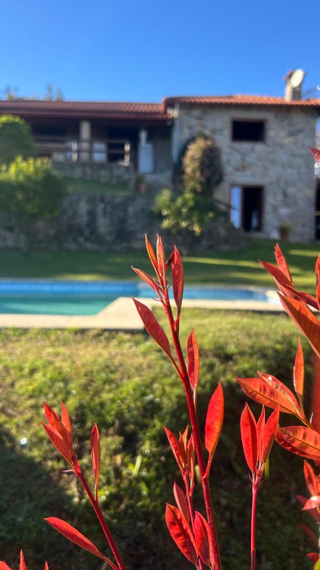 Casa Das Andorinhas Celorico De Basto Kültér fotó